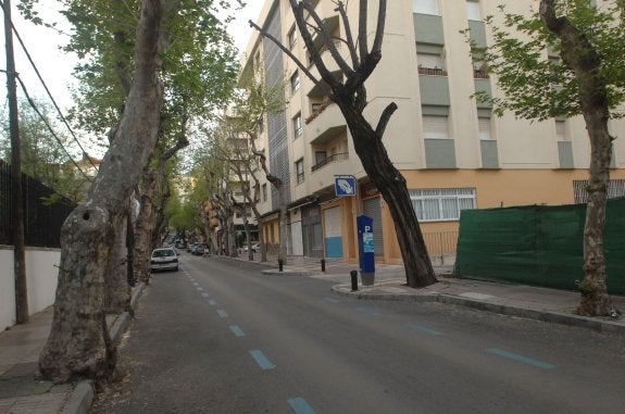 El Ayuntamiento inicia hoy la obra de Notario Luis Oliver que incluye la tala del arbolado