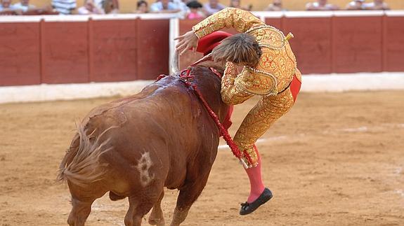 El torero recibió una cornada en la cara