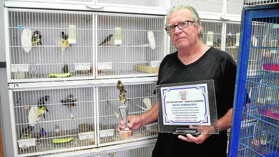 Miguel Herrero, con varios de los trofeos conseguidos, junto a las jaulas donde cría pájaros exóticos. 