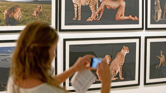 Algunas de las fotografías de la muestra. 