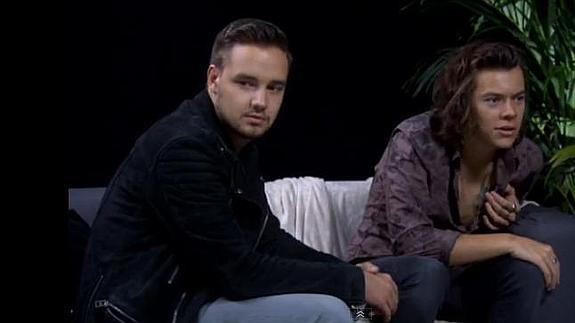 Harry Styles es bisexual