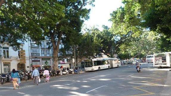Parada provisional de las líneas 11 y 3 en la zona central de la Alameda Principal.
