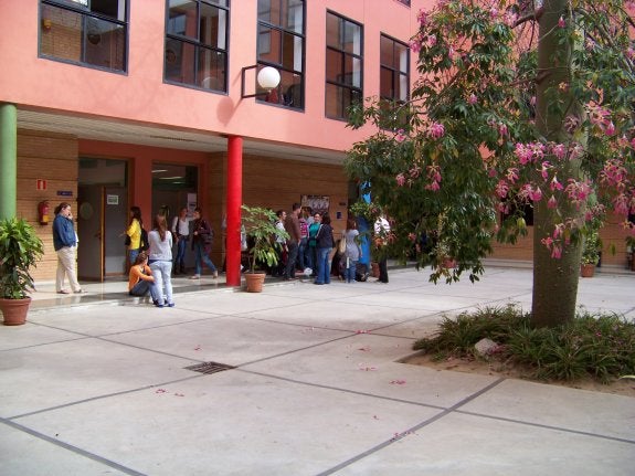 Alumnos de Educación podrán graduarse con la exposición parcial del TFG en inglés