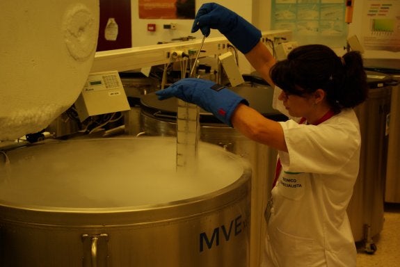 El banco de sangre de cordón umbilical de Málaga es el más potente de Europa