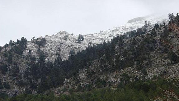 El invierno casi se despide con nieve en la Serranía de Ronda