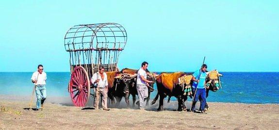 Los hermanos José Miguel y Antonio Molina, de Almayate, entrenan por la playa a sus yuntas. 