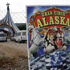 Alaska, el primer circo sin animales que visita Málaga tras la prohibición municipal