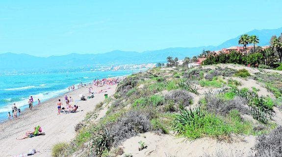 Las playas de las Dunas de Las Adelfas, ayer, con gran cantidad de bañistas. 