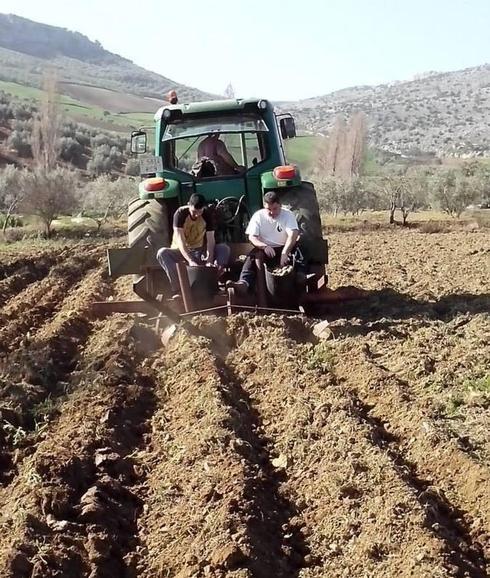 Dos de los socios de Extiércol, plantando ajos. 