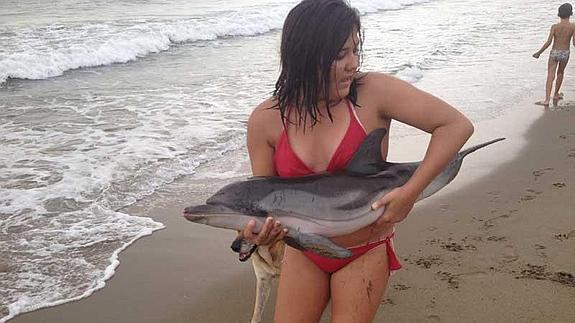 Imagen del cetáceo, en el momento de ser trasladado. 