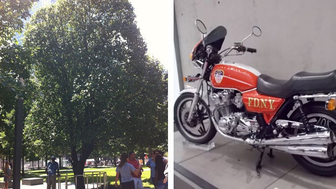 'El árbol superviviente' en el World Trade Center hace unos días y la moto soñada por el bombero Gerard Baptiste, fallecido por los atentados del 11-S