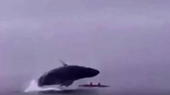Una ballena salta encima de una pareja en kayak