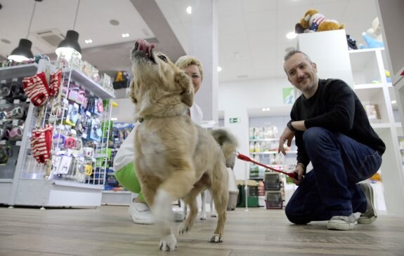 Un cliente y su perro pasean por Animal City, un establecimiento abierto recientemente que aúna tienda, clínica veterinaria, salón de belleza y hasta fisioterapia.