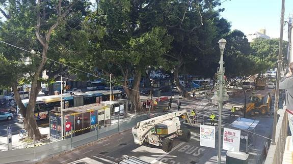 Imagen de los trabajos de poda que han empezado hoy en la Alameda.