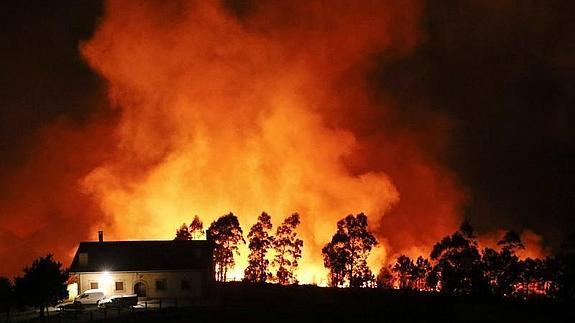 Un incendio forestal declarado esta tarde también en San Sebastián. 