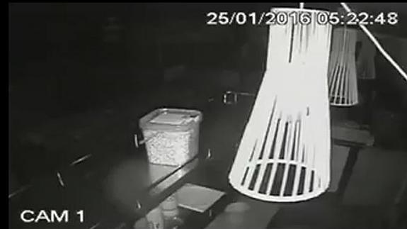 Captura de la cámara de un bar de Torremolinos que captó el seísmo