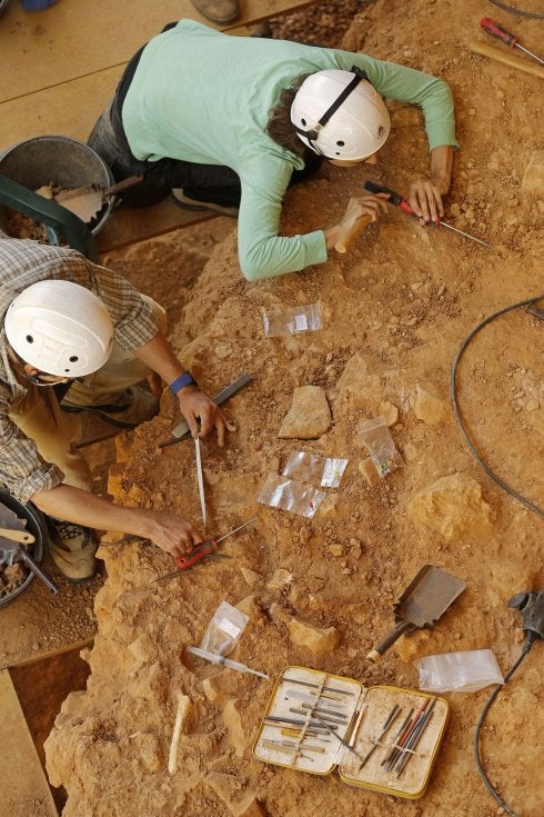 El hombre de Atapuerca era un antepasado de los neandertales