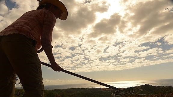 Trabajos en Suerte de Tierra. 