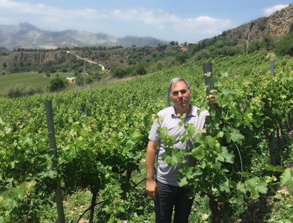 'Los tintos de Ronda ya han demostrado su calidad'
