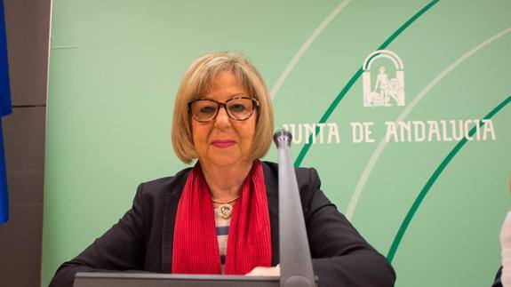 De la Calle recuerda que la retirada de amianto de los colegios será en verano y pide "tranquilidad"
