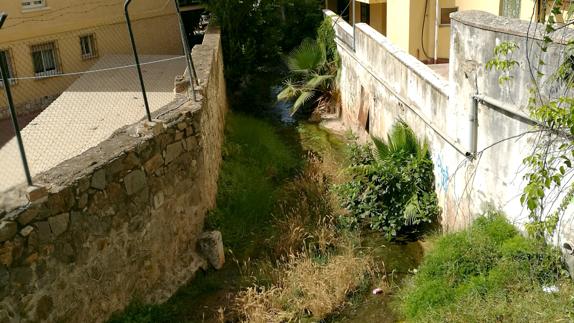 Arroyo del Café, de los mosquitos y de las ratas