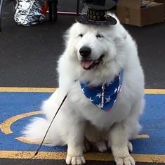 El perro Duke, elegido alcalde de un pueblo de Minnesota por tercera vez