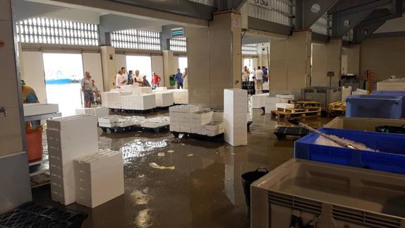 Lonja de venta de pescado del puerto de Caleta de Vélez, el de mayores capturas de Málaga. 