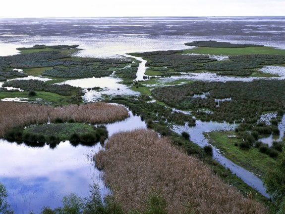 Humedales de Doñana. :: efe