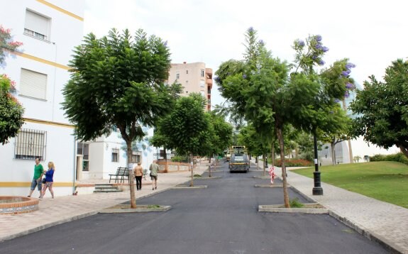 Extensión de asfalto en la calle paralela al Parque Botánico-Orquidario. :: L.P.
