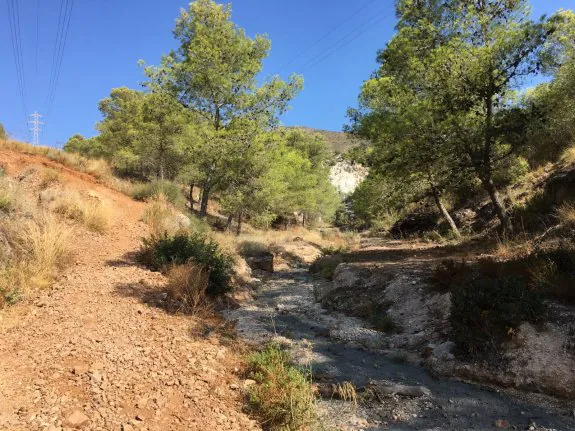 APARECE UN RÍO DE CEMENTO EN LA SIERRA DE TORREMOLINOS