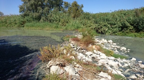 El estado del río Guadalhorce en algunas localidades demuestra la necesidad de depurar.