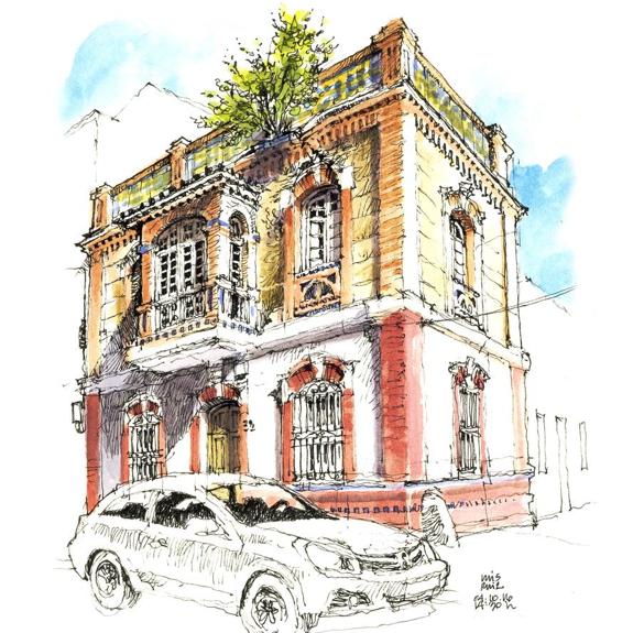 'Málaga a trazos'. Un árbol en la cornisa