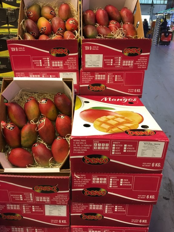 El mango encuentra en Mercamadrid una de sus grandes plataformas de distribución