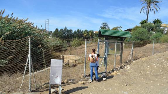 El yacimiento de Toscanos, en la zona de Almayate, está vallado pero tiene mucha vegetación. 