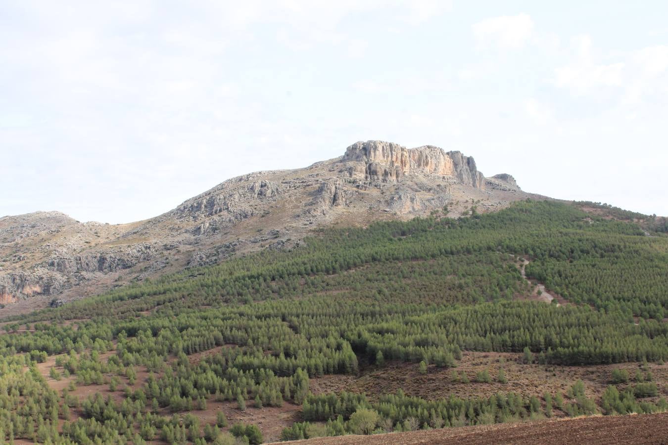 La sierra de Ortegícar acompaña en los primeros metros del recorrido