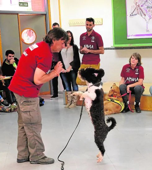 Una de las actividades realizadas con un perro. :: crónica 