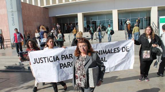 Las contradicciones periciales marcan la tercera sesión del juicio por maltrato animal