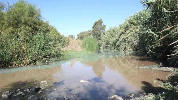 Vertidos de aguas residuales en el río Guadalhorce, a la altura de la Estación de Cártama. 