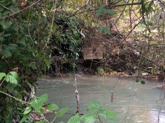 Vertidos de aguas residuales en el arroyo de la Ventilla, en Arriate.