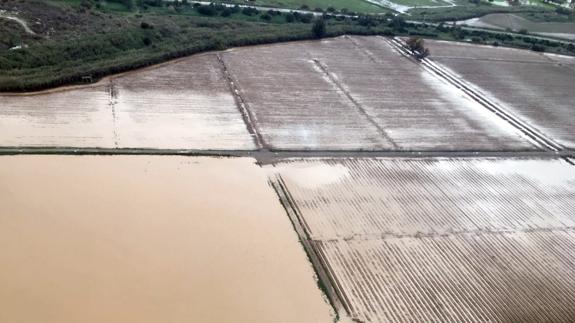 Cultivos inundados a causa del temporal. 