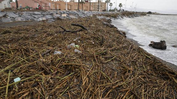 Una de las playas de la capital tras las fuertes lluvias del pasado 4 de enero.