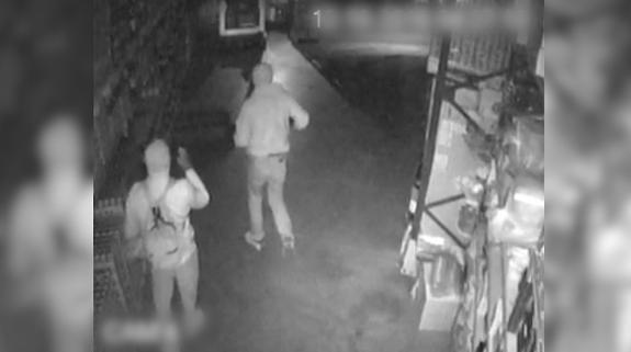 Imagen facilitada por la Guardia Civil de Málaga.