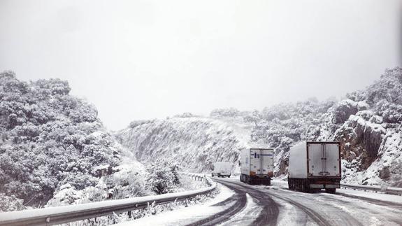 La carretera de Ronda a San Pedro hace unas semanas