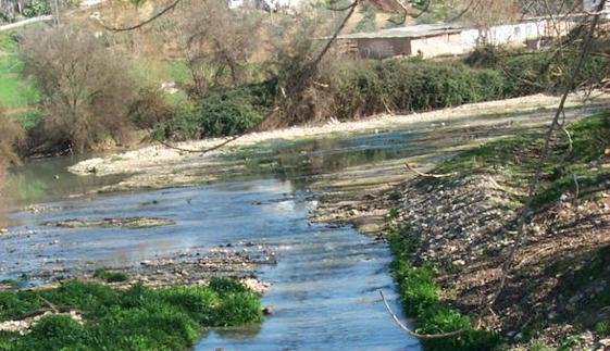 Las aguas del río Guadiaro suelen bajar turbias por la comarca.