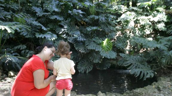 El domingo puede visitarse gratis el jardín de La Concepción.