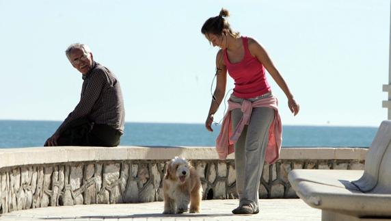 Una joven pasea su perro por el paseo marítimo de Huelin.