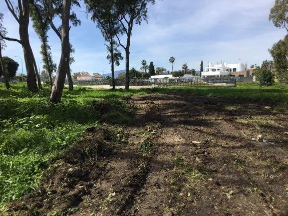 Surco dejado por la excavadora en el suelo anexo a la basílica paleocristiana. :: sur