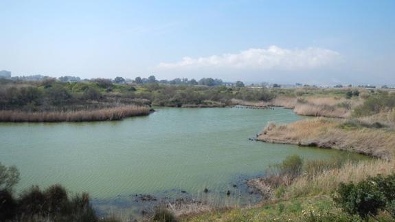 Paraje natural de la Desembocadura del Guadalhorce