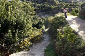 ZONA. Para acceder al río hay una pendiente pronunciada. / EFE