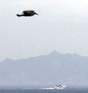 El 32% de los barcos que pasan por el Estrecho de Gibraltar son ferrys